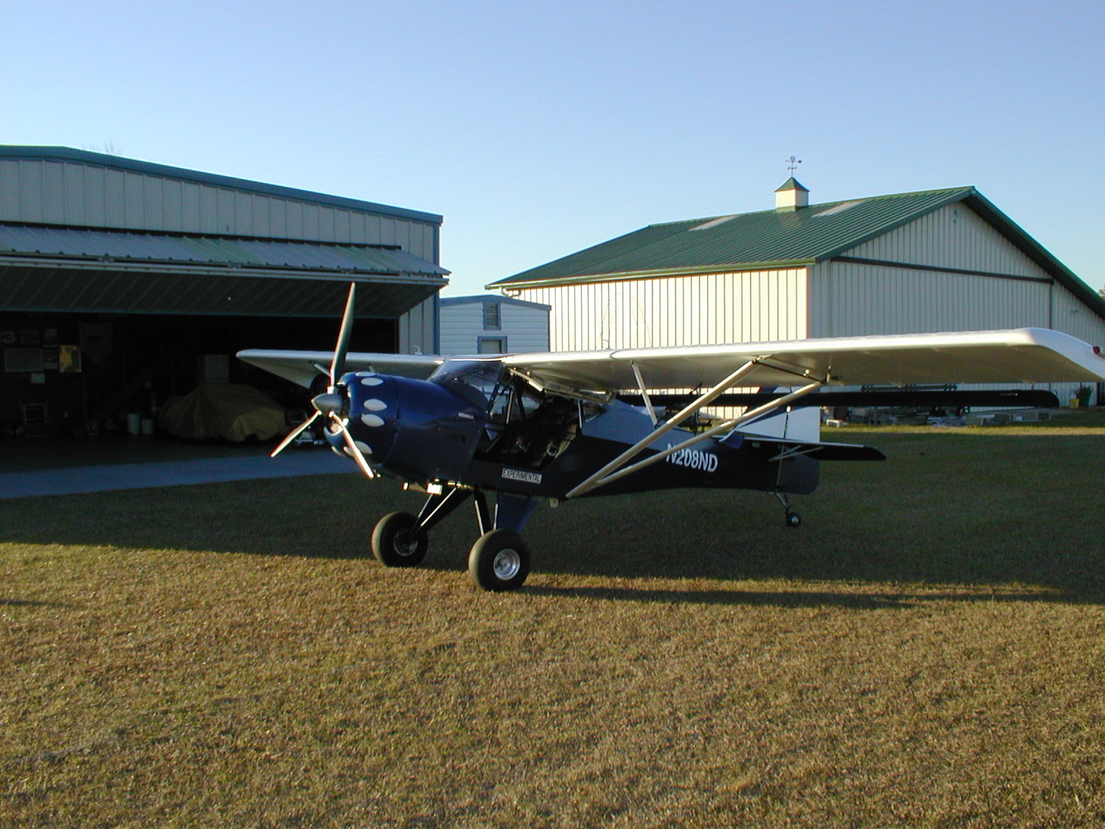 Kitfox_002.jpg