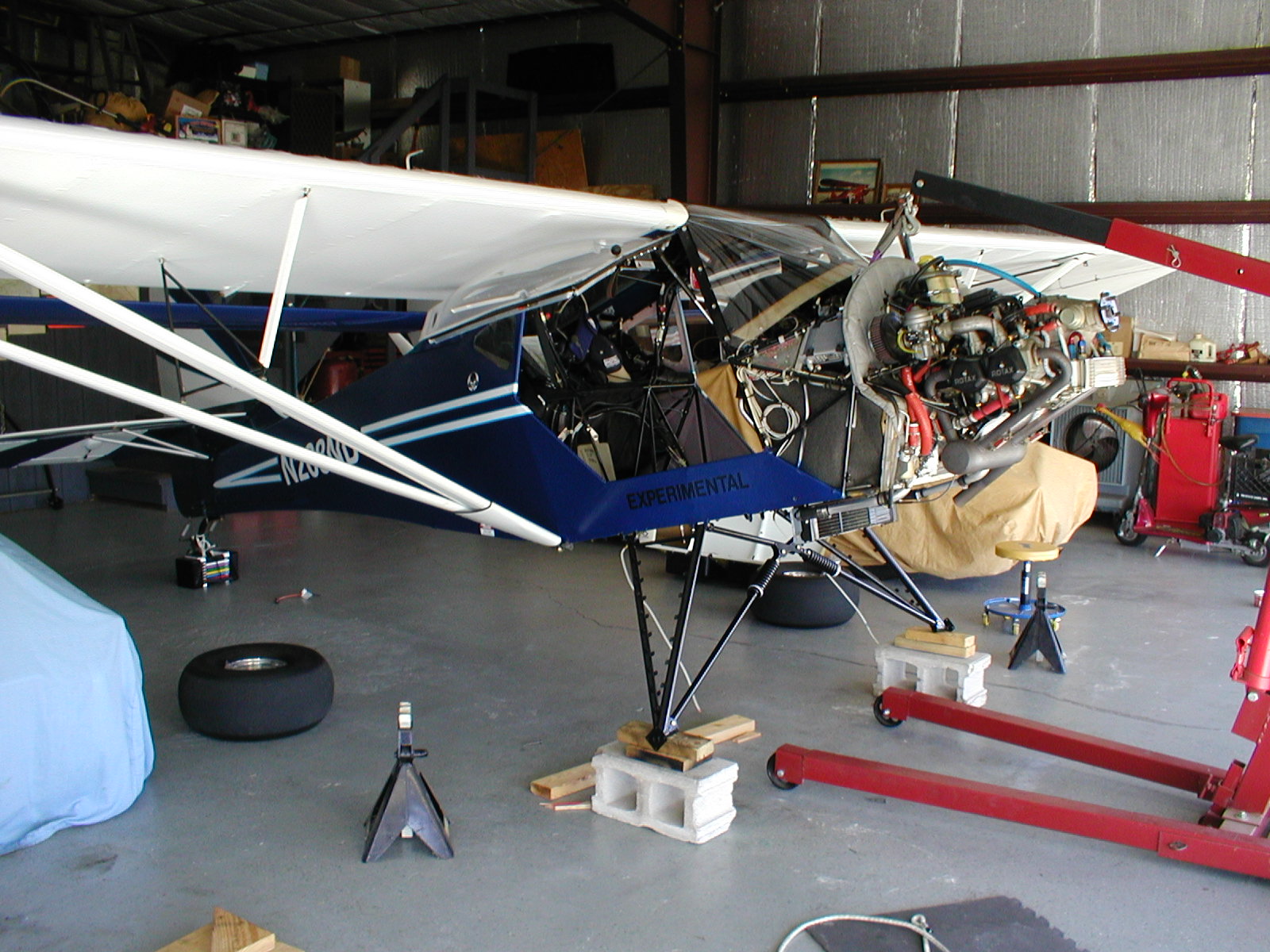 Kitfox_044.jpg