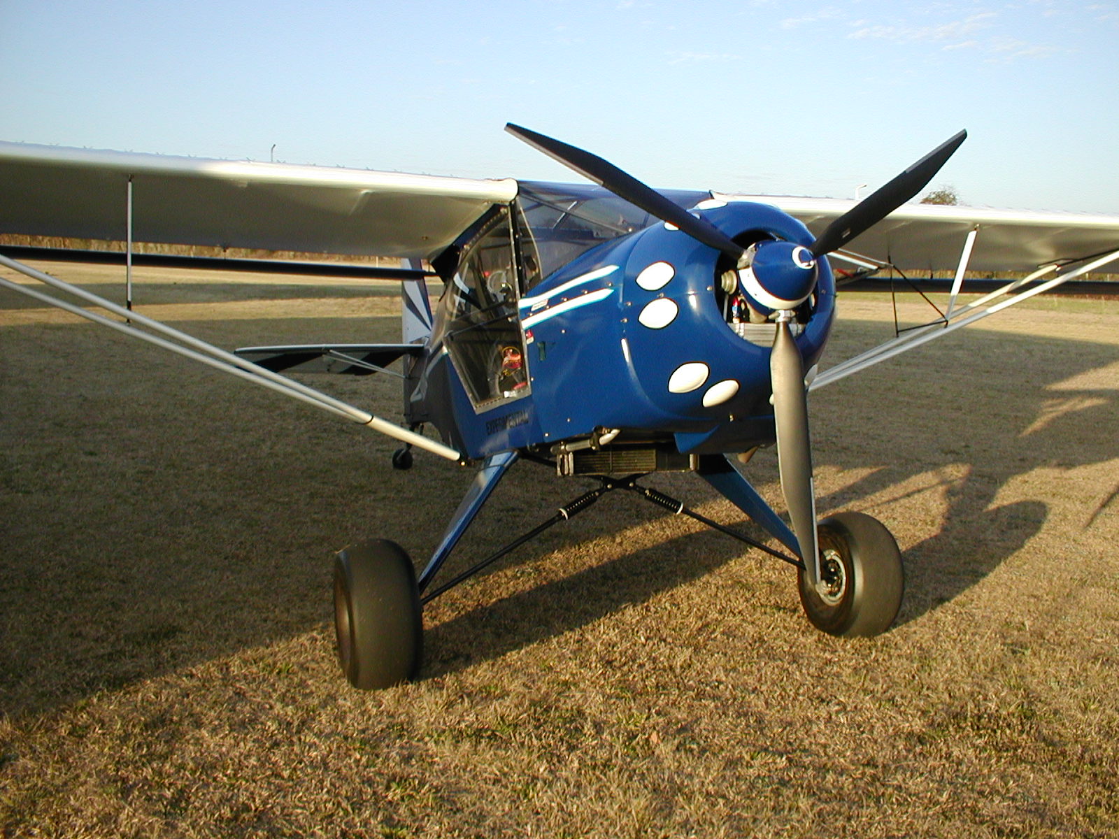 Kitfox_060.jpg