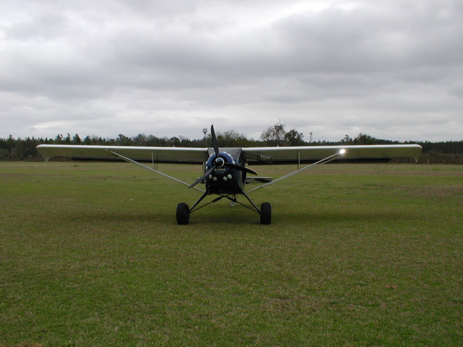 Kitfox_072.jpg