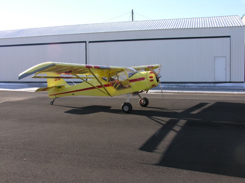 Kitfox_Ja._2008.jpg