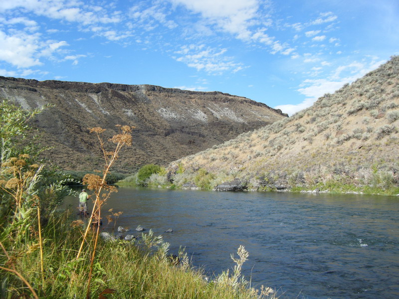 Owyhee_River_Canyon_2010-1.JPG