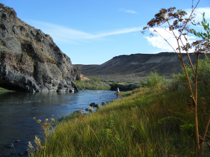 Owyhee_River_Canyon_2010-2.JPG