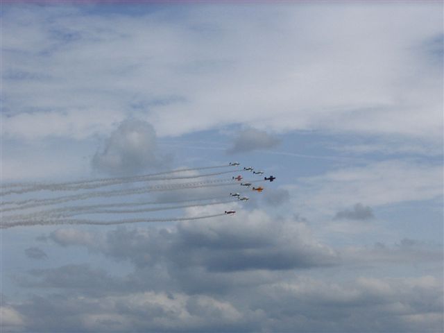 Snowbirds_09_056.jpg