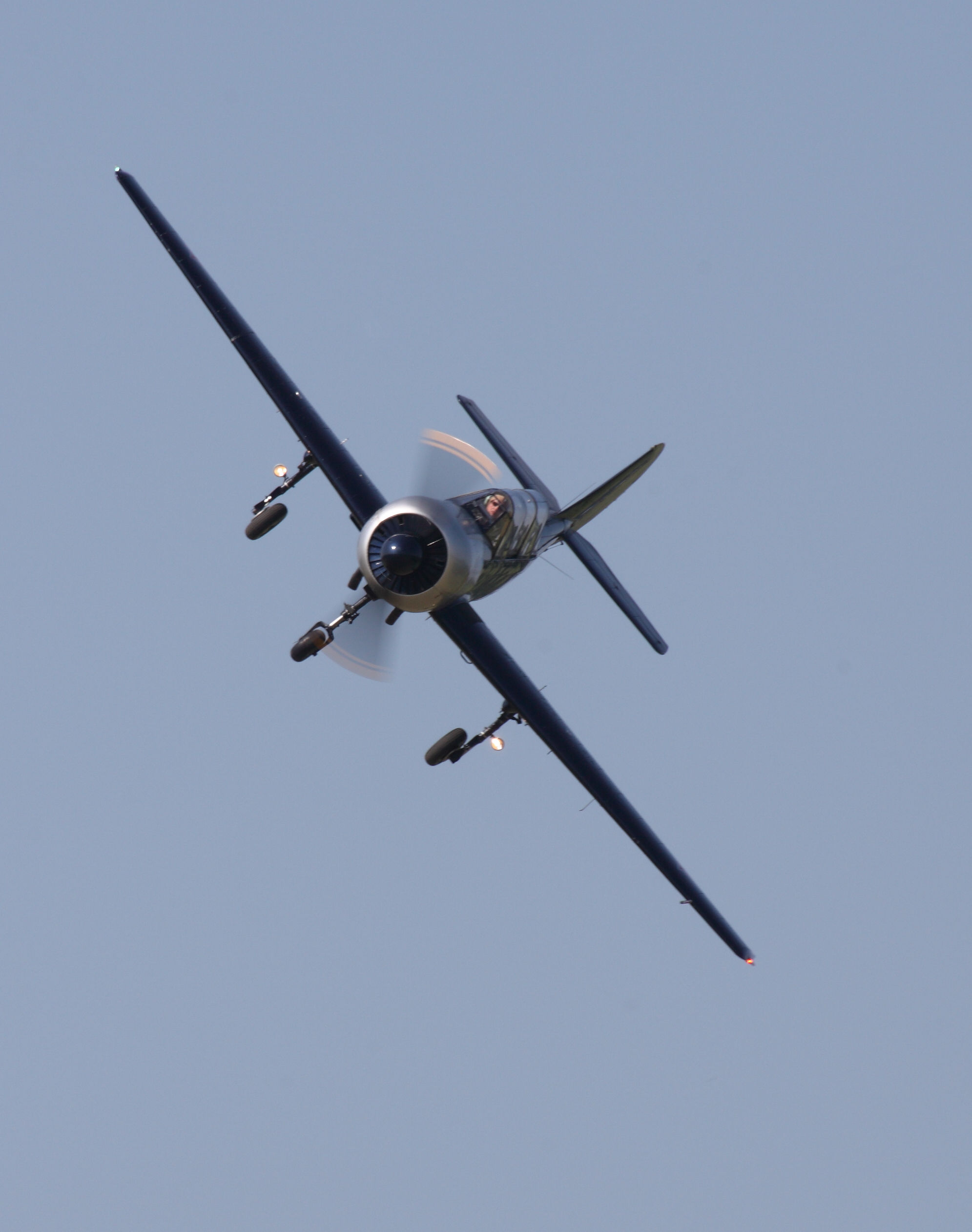 Airshow - Yak-52 Aerobatic Display - Etienne Verhellen (19).jpg