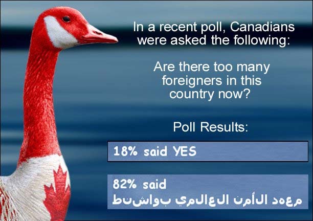 canada poll.jpg