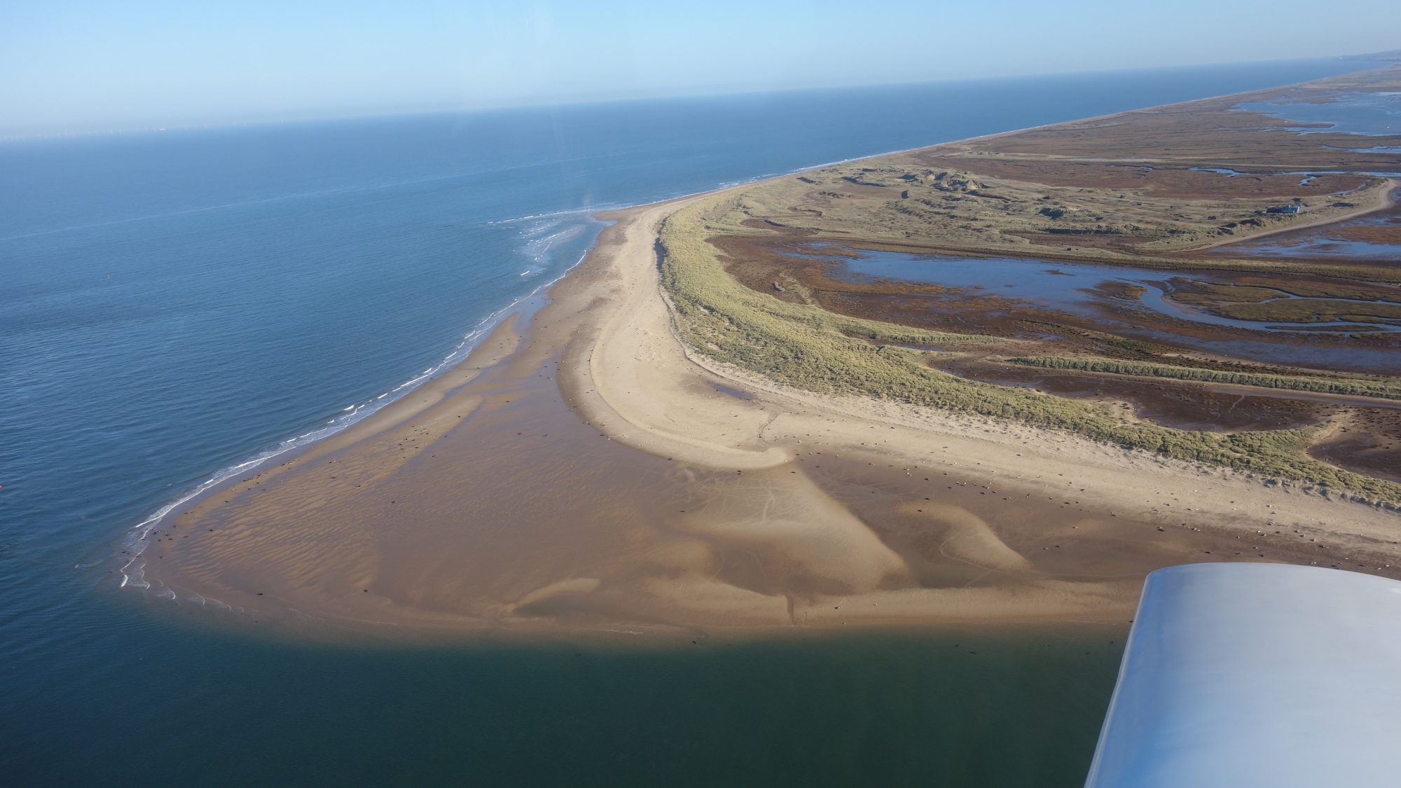 DSC01186Blakeney Point.JPG