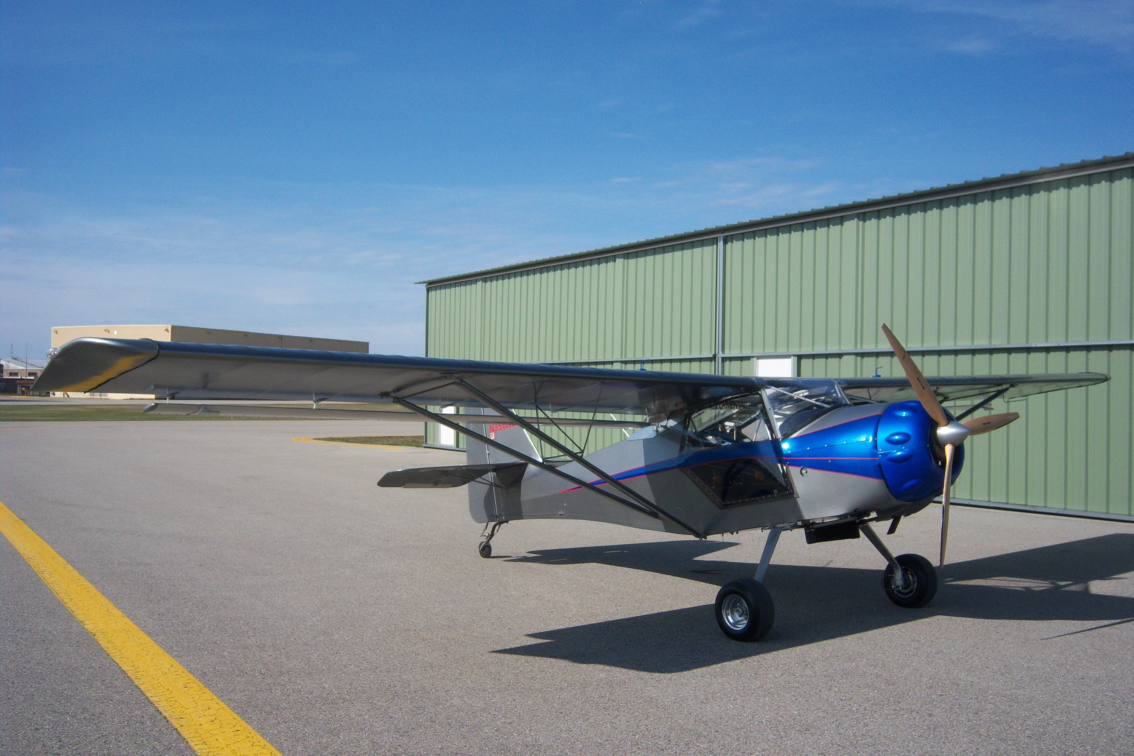 kitfox_001.JPG