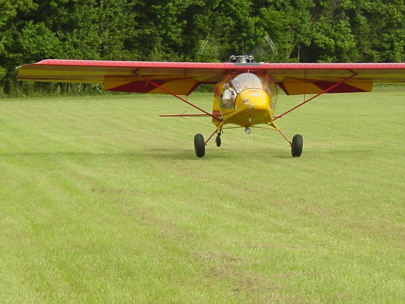 Nauga Field 036a.jpg