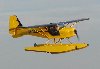 Kitfox-02.JPG