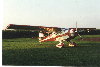 Kitfox_on_grass_field.jpg