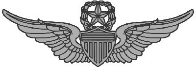 ArmyMtrAvnBadge.gif