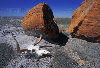 cow-skull-and-large-boulder-in-desert-red-rock-coulee-alberta-~-78007.jpg