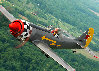 Yak-50 0015 e-mail.jpg