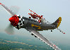 Yak-50 0389 e-mail.jpg