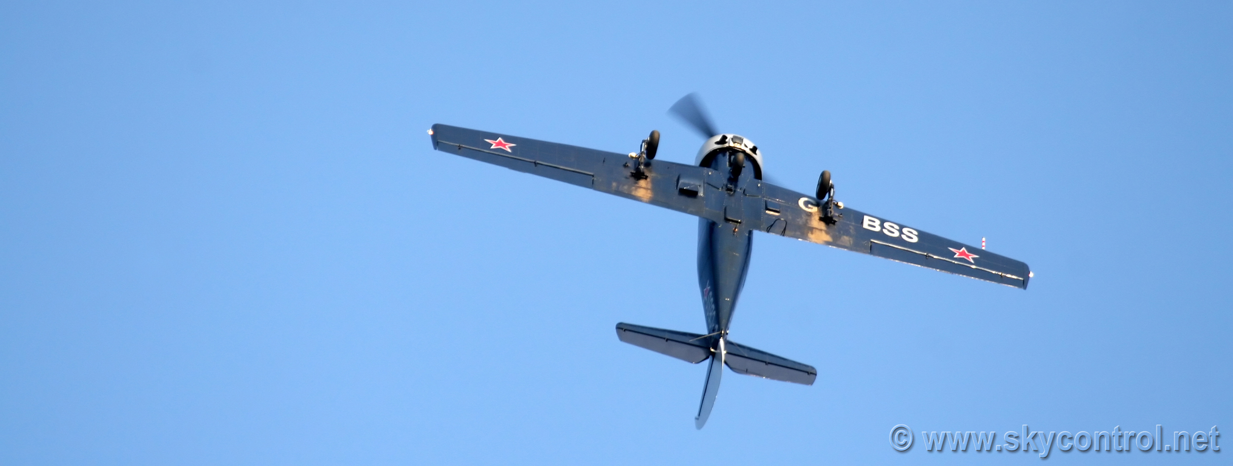 Yak-52 Etienne Verhellen Belgium 116.jpg