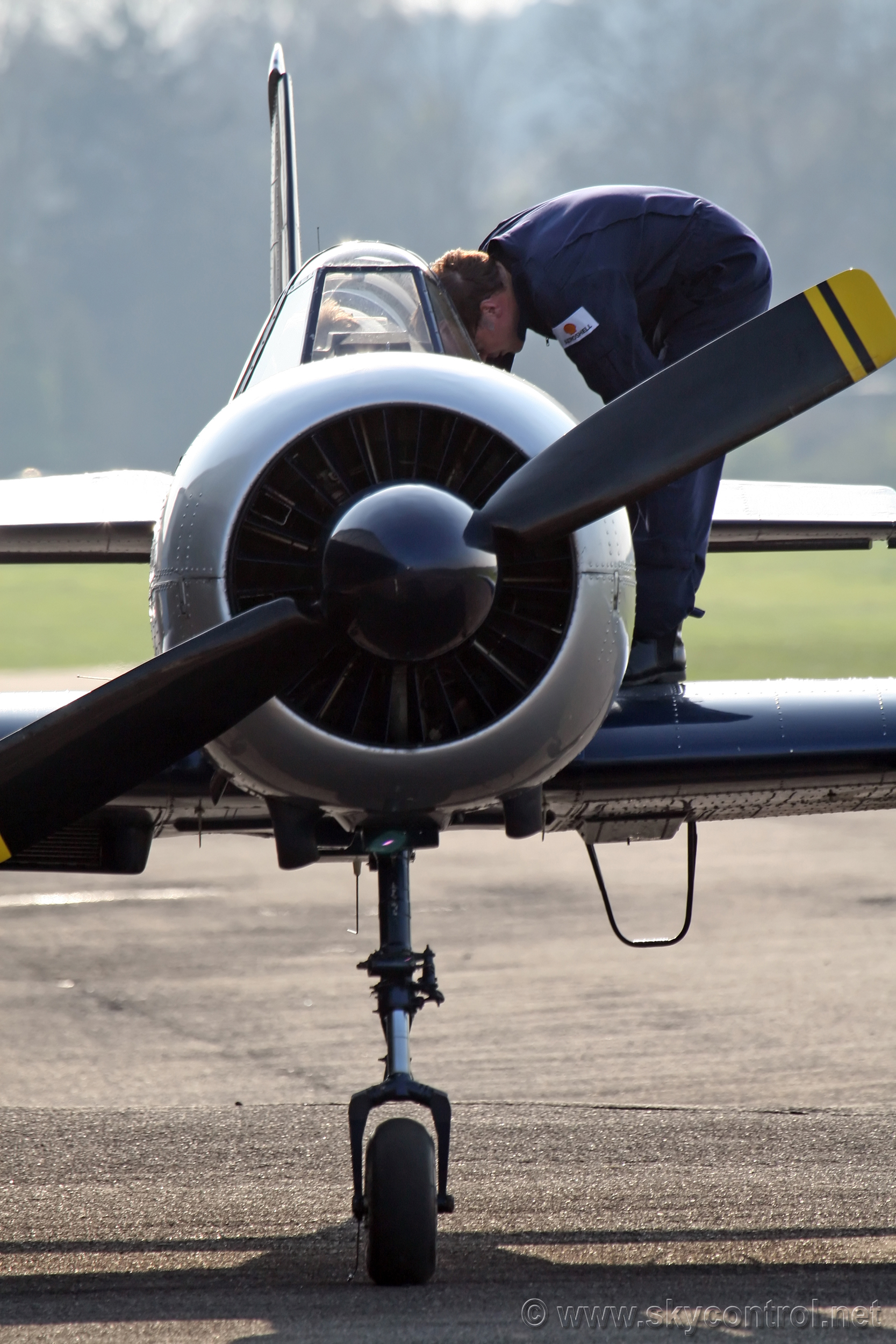 Yak-52 Etienne Verhellen Belgium 163.jpg